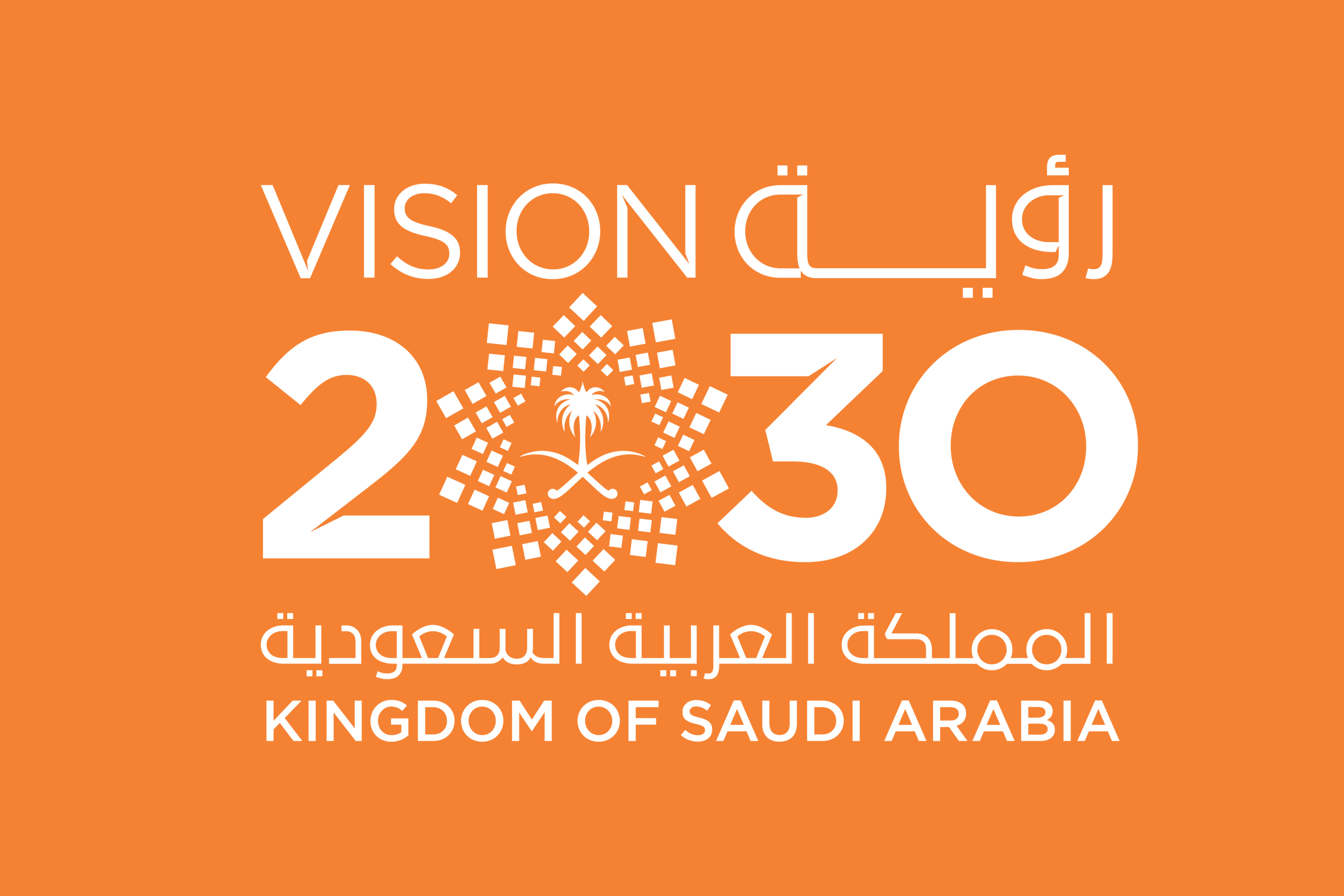 تحقيق رؤية المملكة 2030